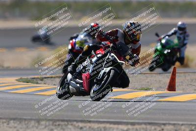 media/Oct-08-2022-SoCal Trackdays (Sat) [[1fc3beec89]]/Turn 14 (1050am)/